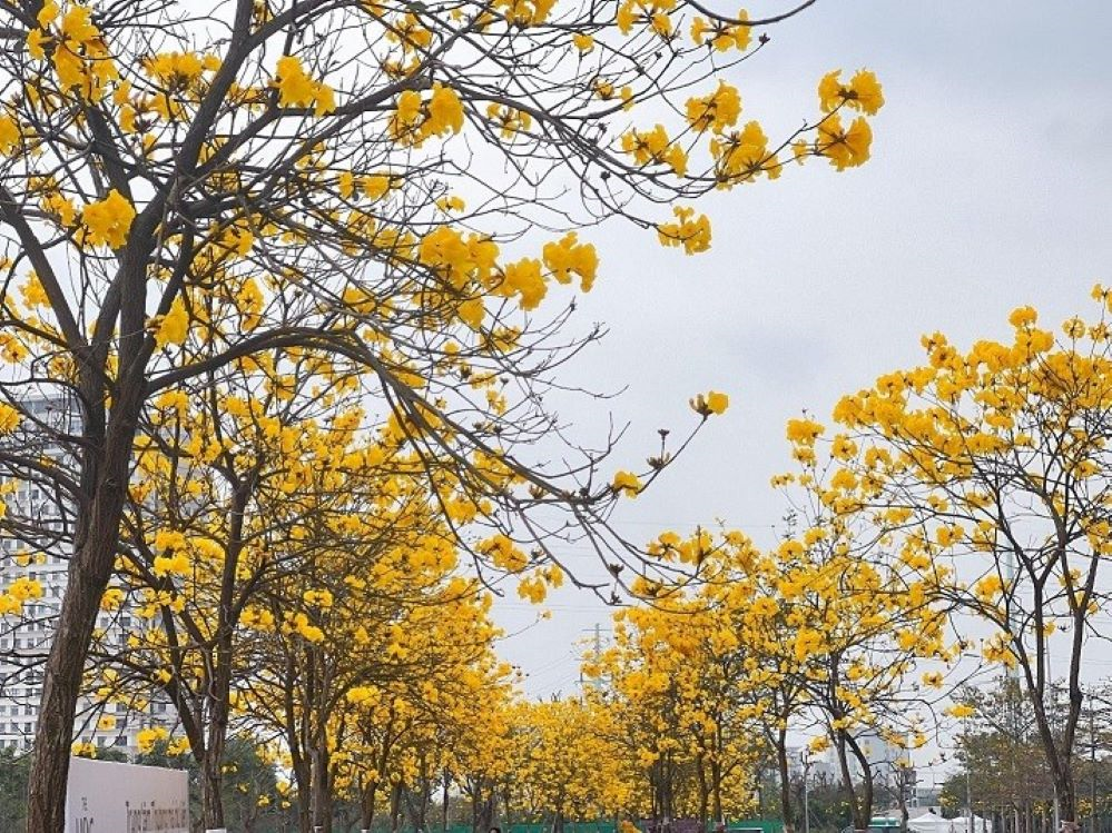 Thời tiết hôm nay (11-4): Bắc Bộ nhiều nơi nắng nóng